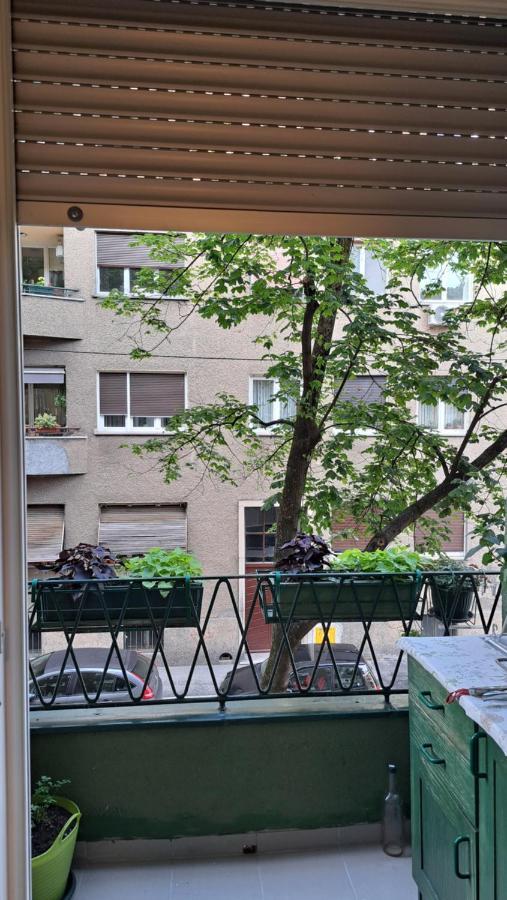 זאגרב Apartman Jaki מראה חיצוני תמונה