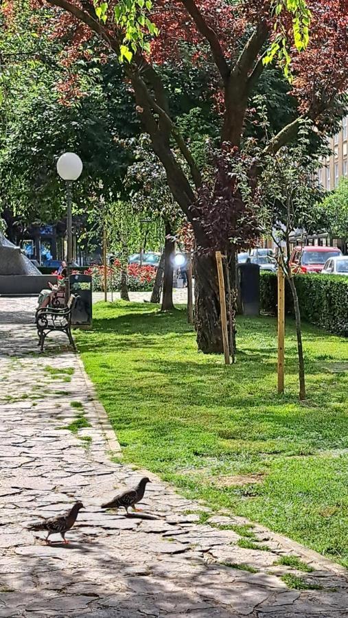 זאגרב Apartman Jaki מראה חיצוני תמונה